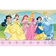 Disney Ballroom Princess Carpet
