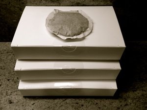 Disposapods Coffee Pod Replacement Filters for Coffee Pod Brewers - Make Your Own Pods - 100 PACK