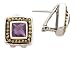 925 Silver & Amethyst Earrings with 14k Gold Accents