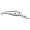 Sexy Shad