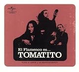 El Flamenco Es...