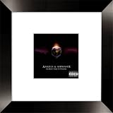 Angels and Airwaves , 15x15