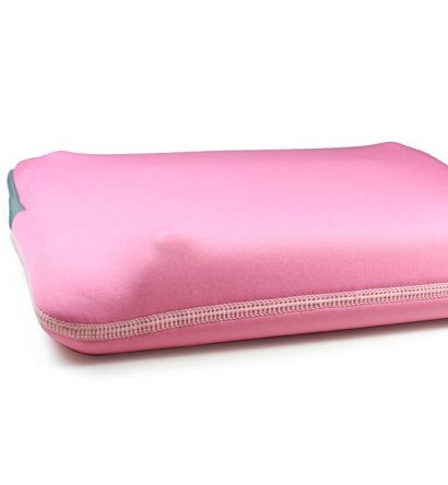 Acer Aspire One AOD150 10.1-Inch Netbook Sleeve Case and Wall Charger