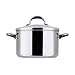 Meyer Select Stainless Steel Stockpot, 24 cm, 6.2 Litre