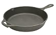 Lodge Logic 12-Inch Pre-Seasoned Skillet