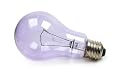 100 Watt Full Spectrum Light Bulb / Clear / A21 Shape (2 5/8