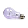 100 Watt Full Spectrum Light Bulb / Clear / A21 Shape (2 5/8" Diameter) / True Daylight--Full Spectrum Light Bulb / Long Life Incandescent