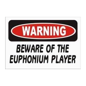 WARNING BEWARE OF THE EUPHONIUM PLAYER Hooded Sweatshirt