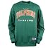 Search : Miami Dolphins Crewneck Closeout Sweatshirt