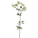 32" Handwrapped Silk Astrantia Flower Spray -Green/Cerise (case of 12)