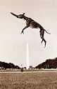 Greyhound, Art Poster by Tim Clary