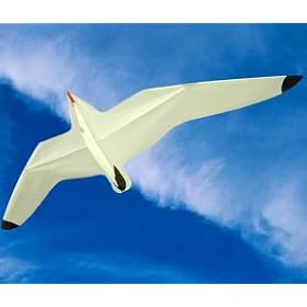 Seagull
