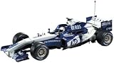 Williams Formula One Team 2005 R/C - Mark Webber