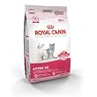 Royal Canin Feline Health Nutrition Kitten 36 Dry Kitten Food (7-lb bag)