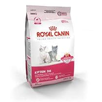 Royal Canin Feline Health Nutrition Kitten 36 Dry Kitten Food