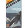 Gentle Giants of the Pacific: Humpback Whales (Sierra Club Series) [VHS]