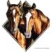 Two Horses Youth Sweatshirt