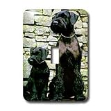 Dogs Giant Schnauzer - Giant Schnauzer - Light Switch Covers - single toggle switch