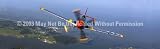 Window Graphic - 16x54 P-51 Mustang