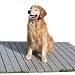 The Kennel Deck