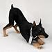 Doberman Black MyDog Figurine