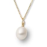 Miore M0480Y 18 Karat (750) Gelbgold 42 CM Halsschmuck , mit 1 (0,03 cts) Diamanten.