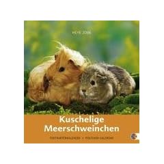 Kuschelige Meerschweinchen 2006 Kalender. Postkartenkalender mit Aufsteller