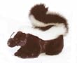 Aurora Skunk Plush, 12 Inches (Sachet From Aurora World)