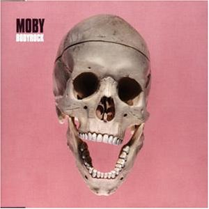 CD-Charts  Music : Bodyrock/Sunspot/Arp