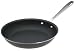 All-Clad LTD 10-Inch Nonstick Fry Pan