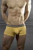 C-in2 2008 Pop Color Low Show Army Boxer Brief