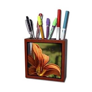 WhiteOak Photography Floral Prints - Orange Lily - Tile Pen Holders-5 inch tile pen holder
