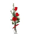 3 Red Roses