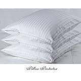 100% Egyptian Cotton Sateen Pillow Protectors, Hidden zipper to Keep Pillow Clean and Dust... by DownTown Company