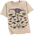 Dinosaur Math Children T-Shirt
