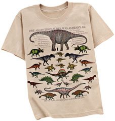 Dinosaur Math Children T-Shirt