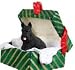 Scottie Scotty Scottish Terrier Dogs Unique Gift Box Christmas Ornament