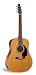 Seagull M6 Cedar GT Acoustic Guitar Mint/Used