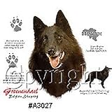 Belgian Sheepdog T shirt-print # A3027