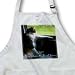 Edmond Hogge Jr Cats - Calico Kitty Pizza Delivery - Aprons