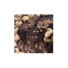 All Star Chocolate 8" Coffee Cake (No Gift Tin)