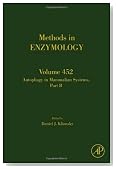Autophagy in Mammalian Systems, Volume 452: Part B (Methods in Enzymology)