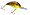 Chart Belly Craw