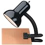Adjustable Student Clip-On Desk Lamp- White