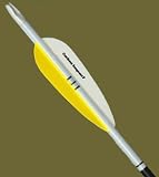 CARBON IMPACT FAT SHAFT XLT WITH VANES -- 12 PER PACK WITH 6000 SPINEColor: Blue / Wt: 7.6