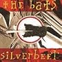 Silverbeet