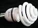 30 Watt Fluorescent Full Spectrum Bulb by Square Perfect