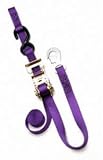 Redart 11751 Trust-Me Ratchet Tie-Down with Snap Hook and Soft Tie