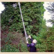 Tree Pruner - 96 long