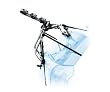 bike racks for honda civic